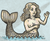 Mermaid